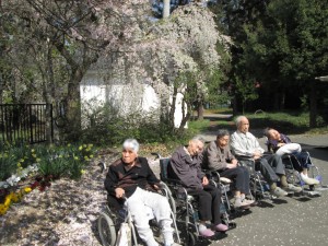お花見