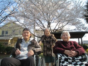 お花見　１