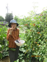 〜大収穫！夏野菜～