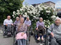 バラ見学